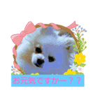 チョコ＆ミルク♡♡（個別スタンプ：16）