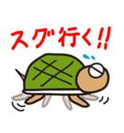 かわいいカメの「ガッちゃん」（個別スタンプ：16）