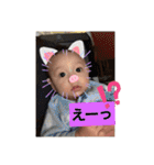 S.N1（個別スタンプ：16）
