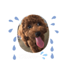 mirumo stamp（個別スタンプ：3）