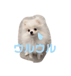 Cocobaby.（個別スタンプ：2）