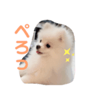 Cocobaby.（個別スタンプ：3）