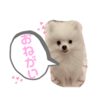 Cocobaby.（個別スタンプ：6）
