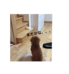 トイプードルななちゃんの日常（個別スタンプ：6）