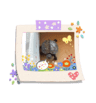 カメおのスタンプ（個別スタンプ：4）