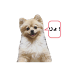 すずきどうぶつえん（個別スタンプ：2）