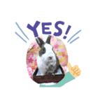 petchan❤（個別スタンプ：1）