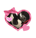 petchan❤（個別スタンプ：2）