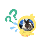 petchan❤（個別スタンプ：3）
