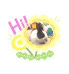 petchan❤（個別スタンプ：7）