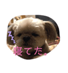 はんすけくん（個別スタンプ：11）