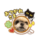 はんすけくん（個別スタンプ：14）