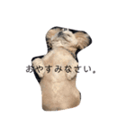 はんすけくん（個別スタンプ：18）