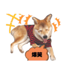 今日も元気 あべのりょう（個別スタンプ：4）