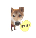 今日も元気 あべのりょう（個別スタンプ：7）