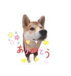 今日も元気 あべのりょう（個別スタンプ：8）