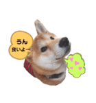 今日も元気 あべのりょう（個別スタンプ：9）
