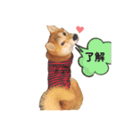 今日も元気 あべのりょう（個別スタンプ：10）