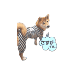 今日も元気 あべのりょう（個別スタンプ：11）
