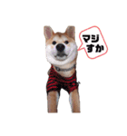 今日も元気 あべのりょう（個別スタンプ：13）