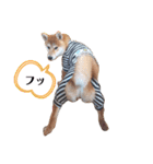今日も元気 あべのりょう（個別スタンプ：17）