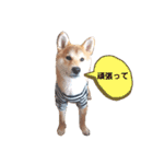 今日も元気 あべのりょう（個別スタンプ：19）