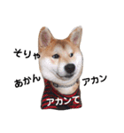 今日も元気 あべのりょう（個別スタンプ：30）