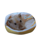 ハムスターころすけの日常（個別スタンプ：9）