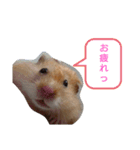 ハムスターころすけの日常（個別スタンプ：10）