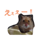 ハムスターころすけの日常（個別スタンプ：14）