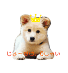 こむろんちのスタンプ2（個別スタンプ：2）