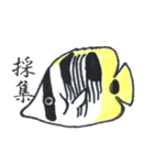 チョウチョウウオ属の日常スタンプ（個別スタンプ：23）