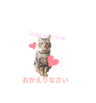 わが家のぽんずう（個別スタンプ：4）