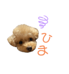 hoMikan_（個別スタンプ：2）