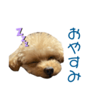 hoMikan_（個別スタンプ：4）
