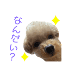 hoMikan_（個別スタンプ：5）