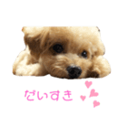 hoMikan_（個別スタンプ：7）