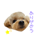 hoMikan_（個別スタンプ：8）