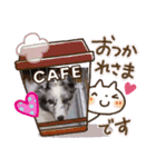 Treasure Dogs 1（個別スタンプ：8）