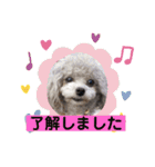 Treasure Dogs 1（個別スタンプ：9）