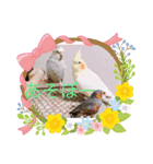鳥ちゃん好き（個別スタンプ：4）