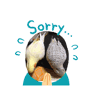 鳥ちゃん好き（個別スタンプ：7）