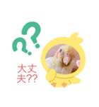 鳥ちゃん好き（個別スタンプ：14）