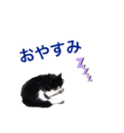 黒猫の「ナナ」（個別スタンプ：2）