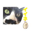 黒猫の「ナナ」（個別スタンプ：7）