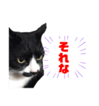 黒猫の「ナナ」（個別スタンプ：8）