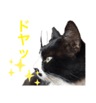 黒猫の「ナナ」（個別スタンプ：10）