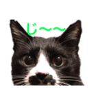黒猫の「ナナ」（個別スタンプ：14）