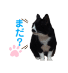 黒猫の「ナナ」（個別スタンプ：16）