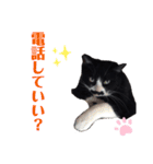 黒猫の「ナナ」（個別スタンプ：17）